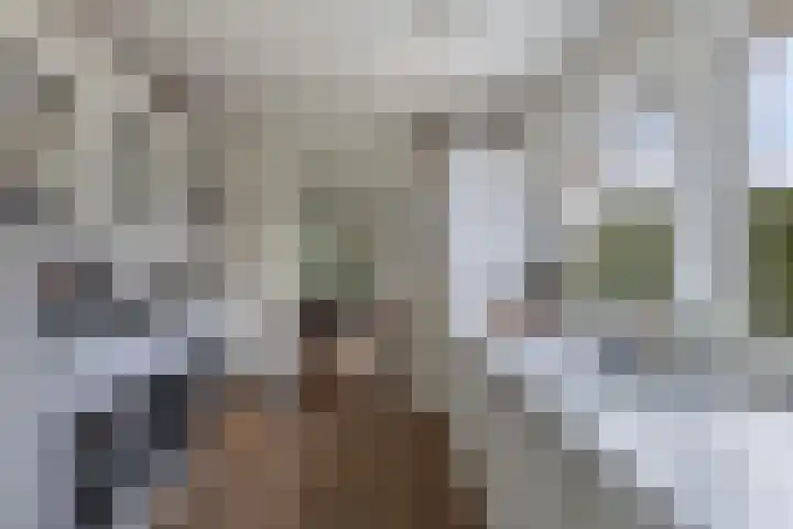 Tsjalk 6 Joure thumbnail 24
