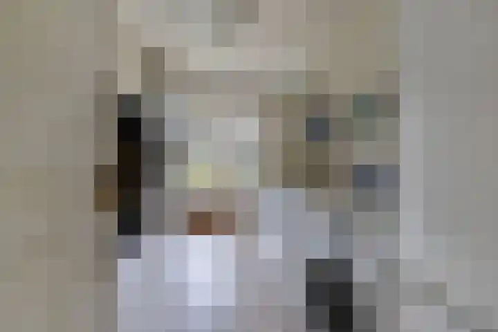 Tsjalk 6 Joure thumbnail 25