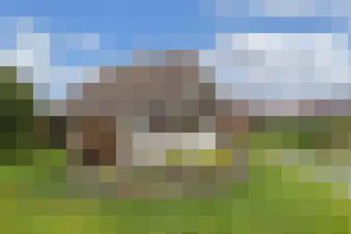 Tsjalk 6 Joure thumbnail 46