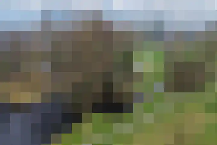 Tsjalk 6 Joure thumbnail 50