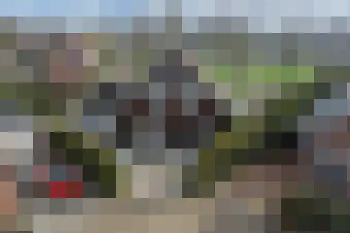 Tsjalk 6 Joure thumbnail 55
