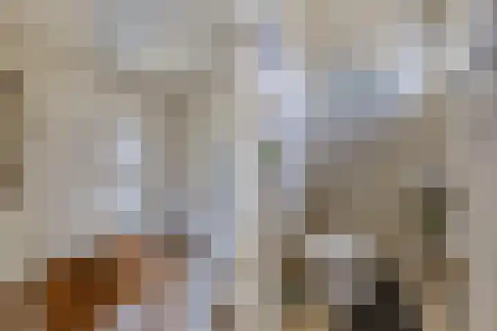Tsjalk 6 Joure thumbnail 8