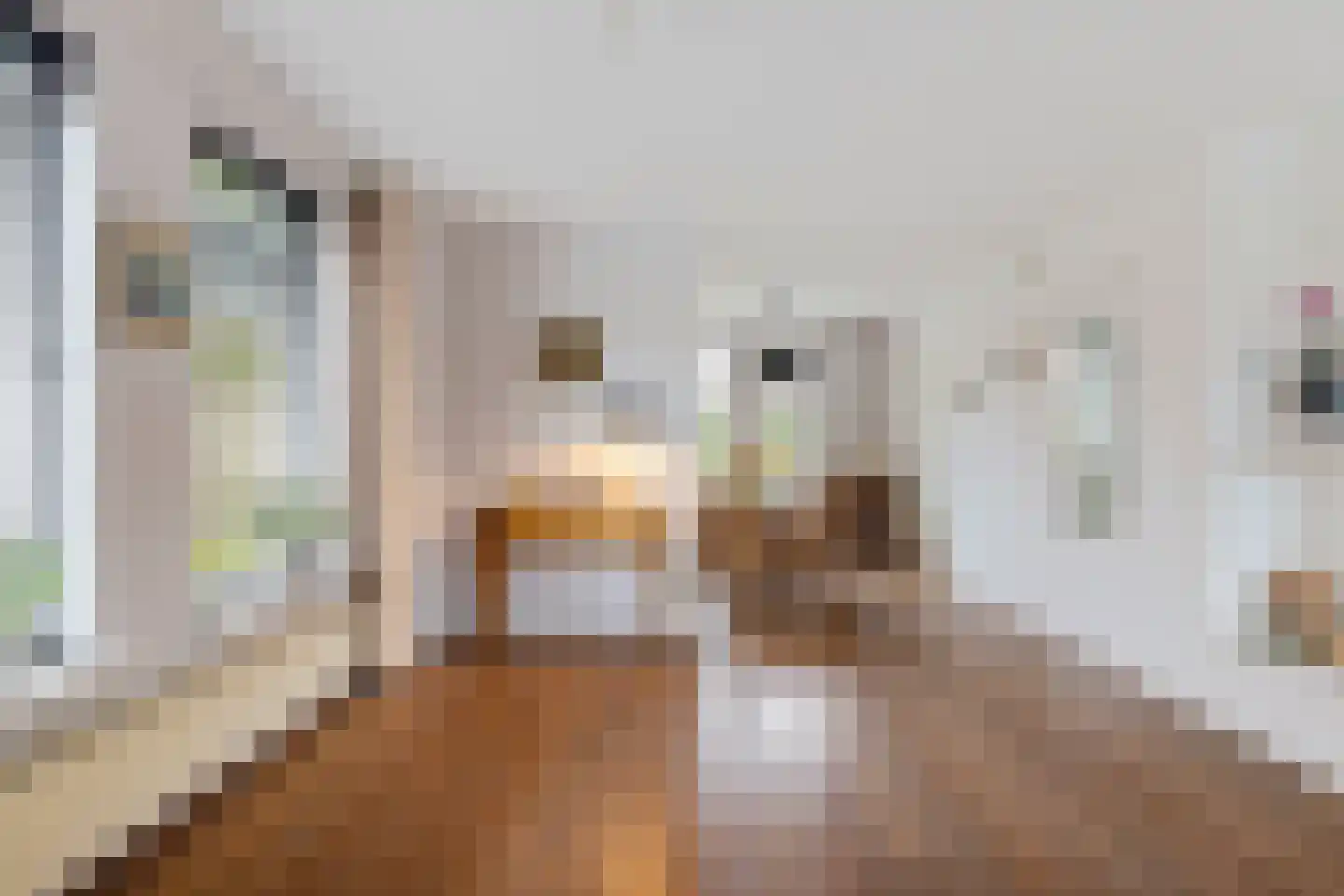 Tsjalk 8 Joure thumbnail 16