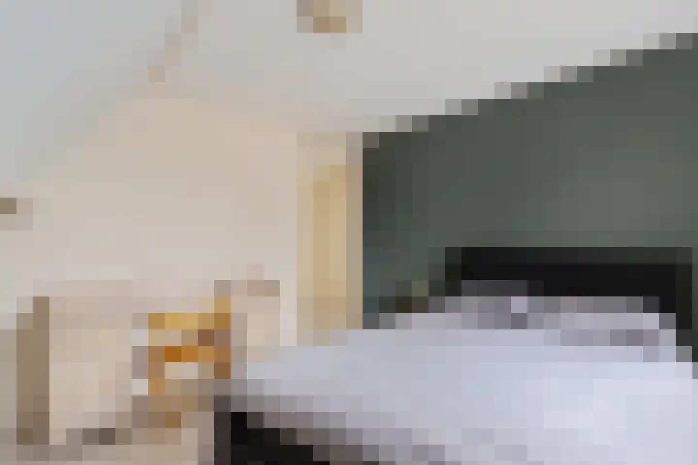 Tsjalk 8 Joure thumbnail 32