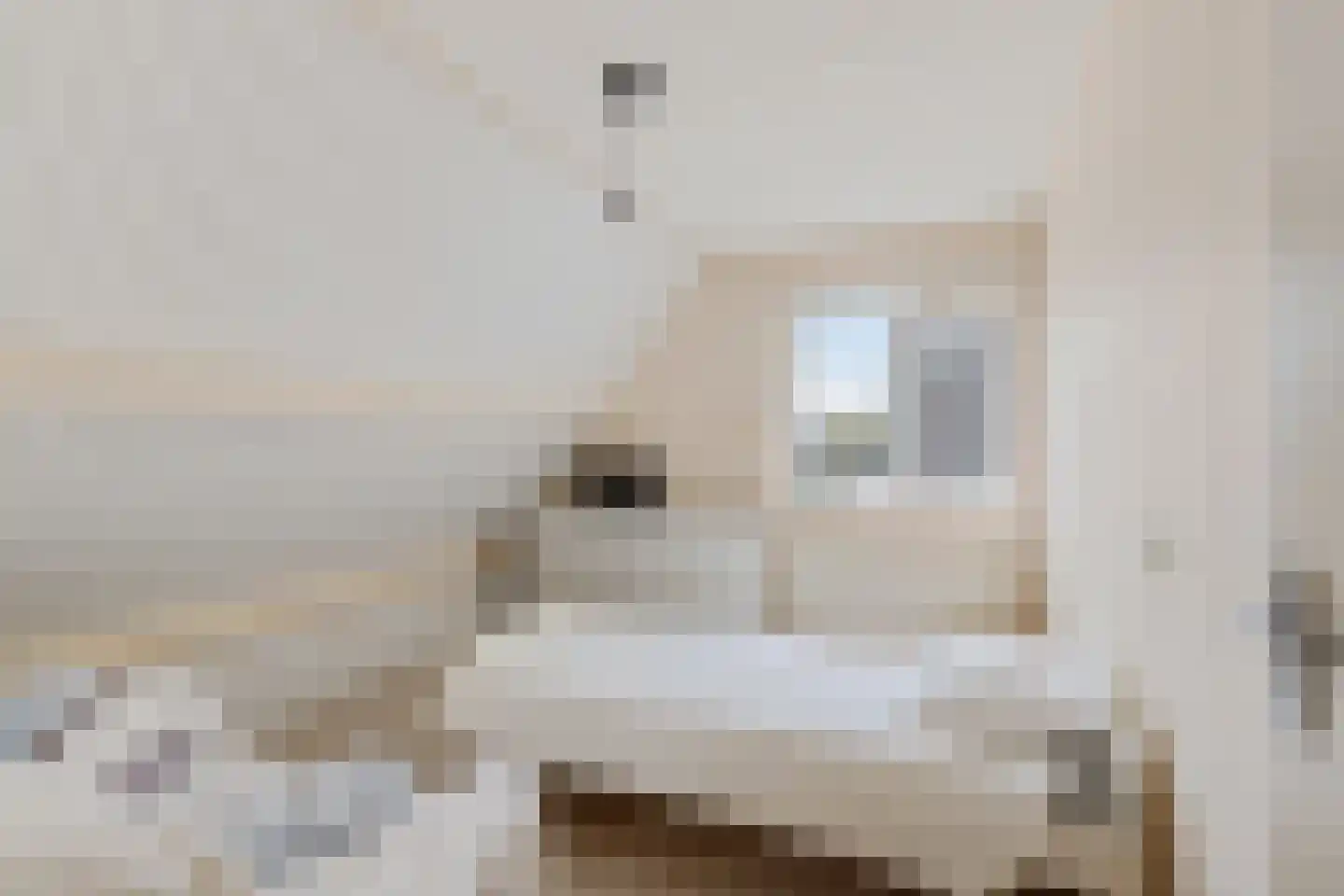 Tsjalk 8 Joure thumbnail 35