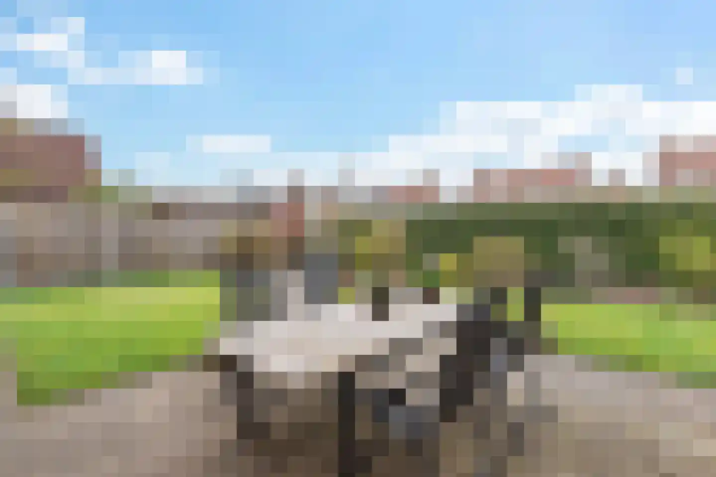 Tsjalk 8 Joure thumbnail 39
