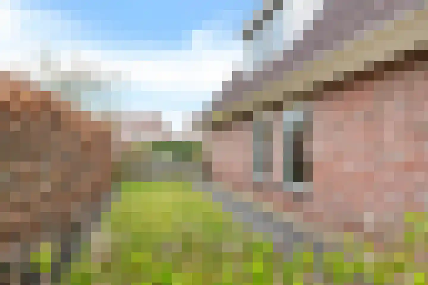 Tsjalk 8 Joure thumbnail 42