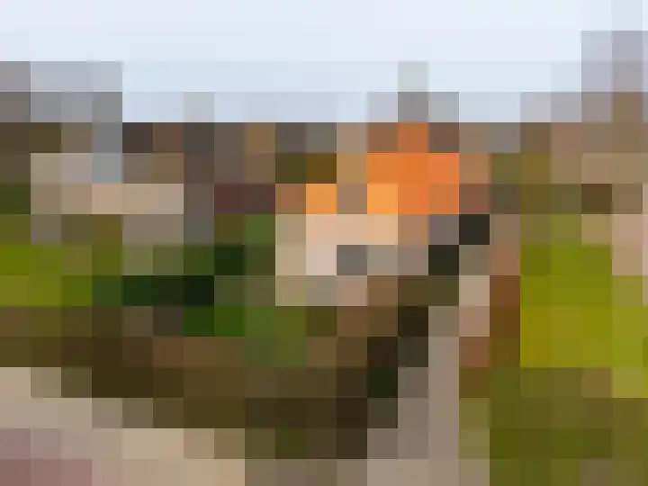 Tsjerkepaad 2 Nijewier thumbnail 11