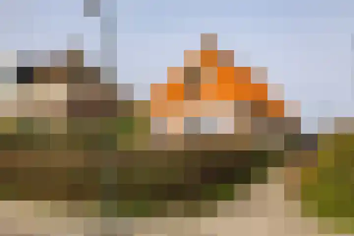 Tsjerkepaad 2 Nijewier thumbnail 13