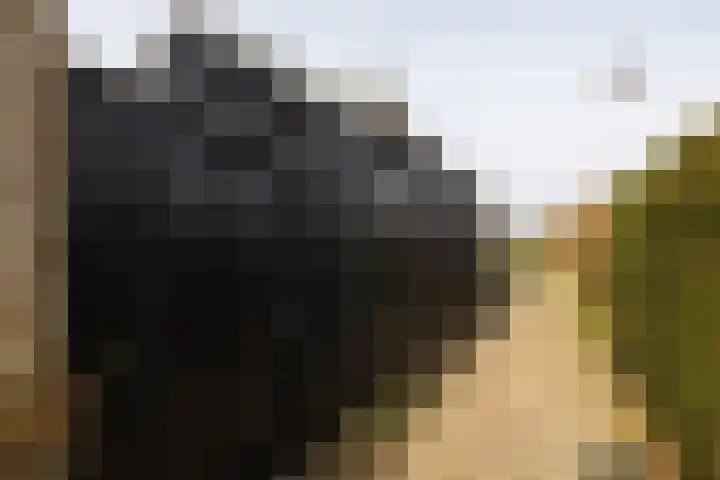 Tsjerkepaad 2 Nijewier thumbnail 16