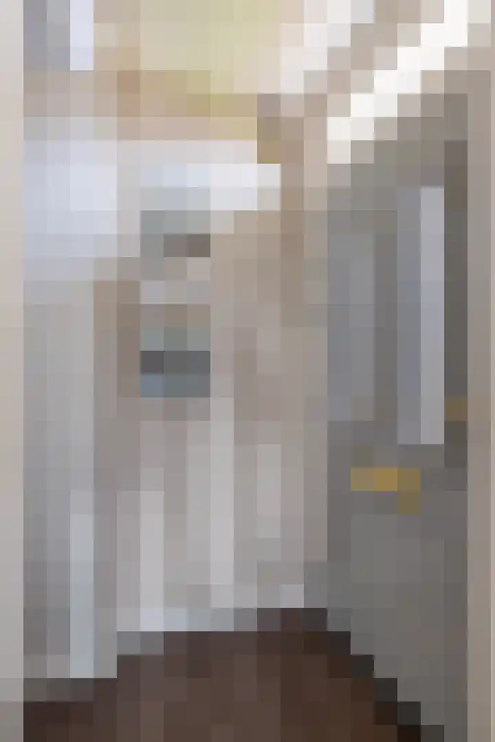 Tsjerkepaad 2 Nijewier thumbnail 19