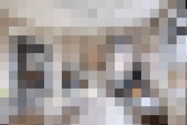 Tsjerkepaad 2 Nijewier thumbnail 37