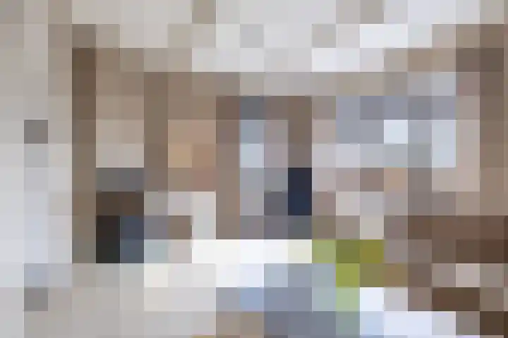 Tsjerkepaad 2 Nijewier thumbnail 38