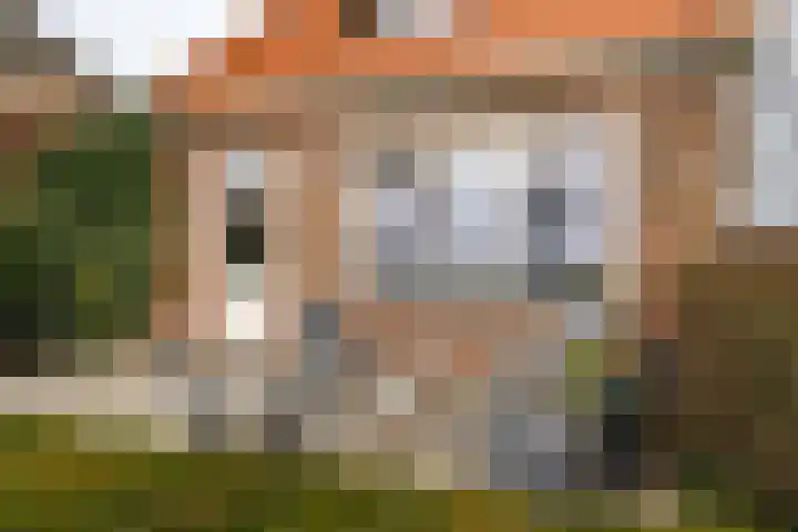 Tsjerkepaad 2 Nijewier thumbnail 42