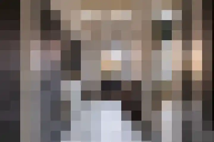 Tsjerkepaad 2 Nijewier thumbnail 44