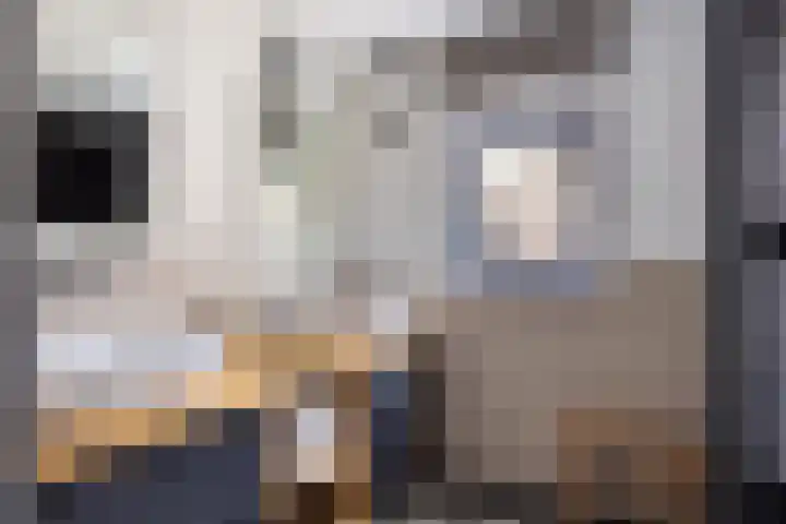 Tsjerkepaad 2 Nijewier thumbnail 46