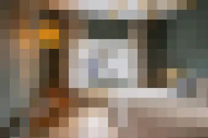 Tsjerkepaad 2 Nijewier thumbnail 51
