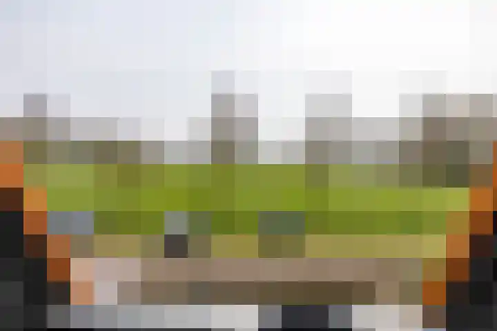 Tsjerkepaad 2 Nijewier thumbnail 67