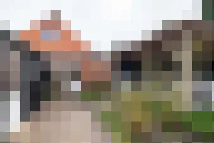 Tsjerkepaad 2 Nijewier thumbnail 70