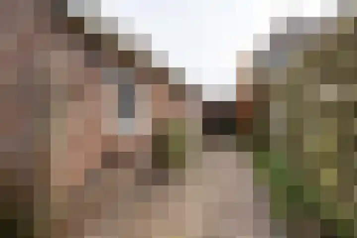 Tsjerkepaad 2 Nijewier thumbnail 75