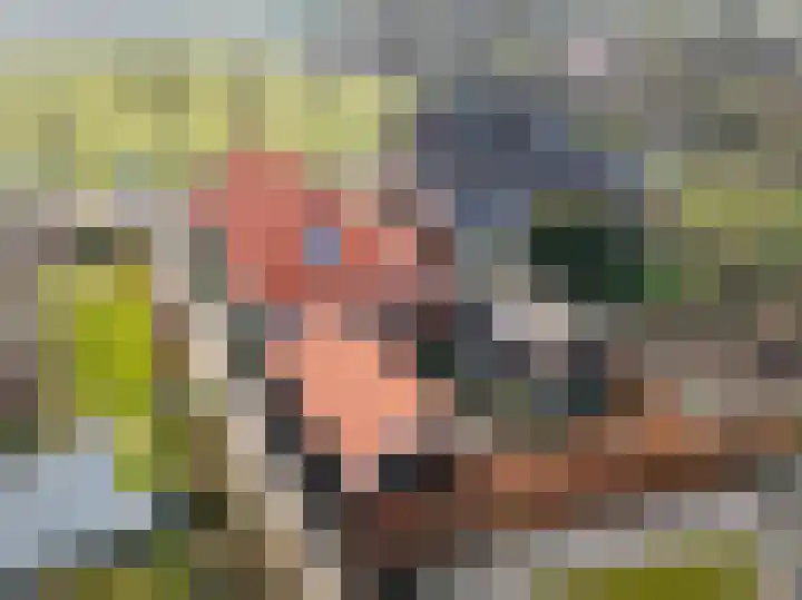 Tsjerkepaad 2 Nijewier thumbnail 77