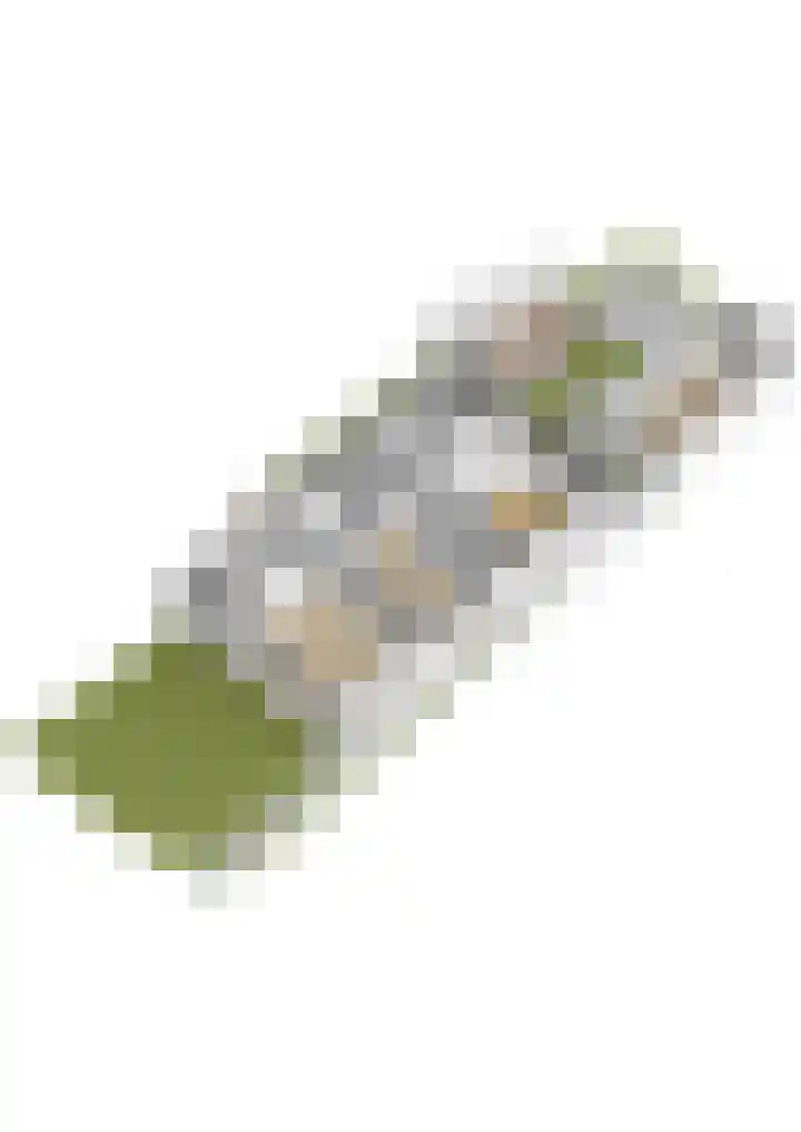 Tsjerkepaad 2 Nijewier thumbnail 90