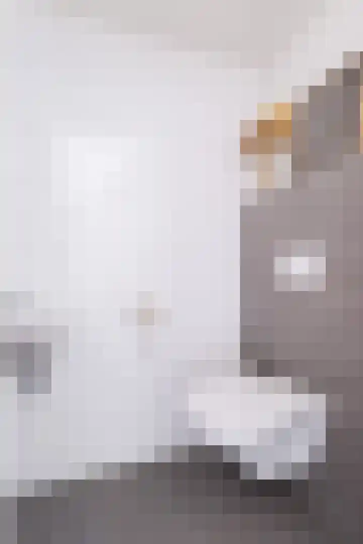 Tsjerkepaed 2 A Wier thumbnail 11