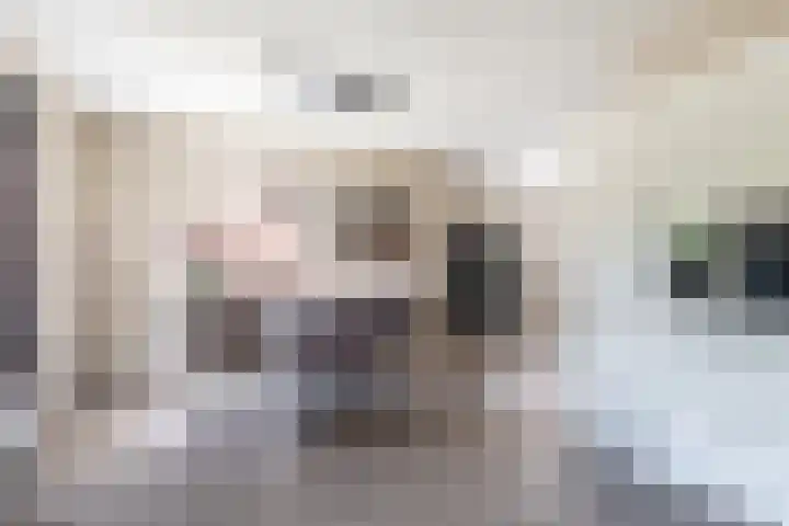 Tsjerkepaed 2 A Wier thumbnail 24