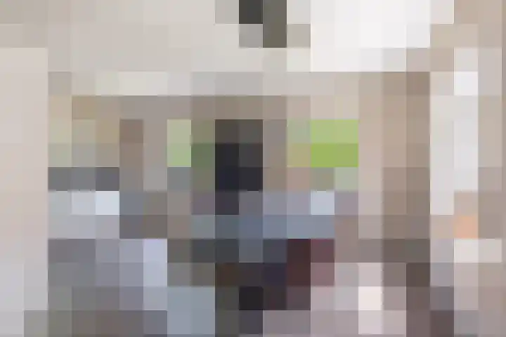 Tsjerkepaed 2 A Wier thumbnail 27
