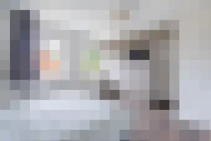 Tsjerkepaed 2 A Wier thumbnail 38