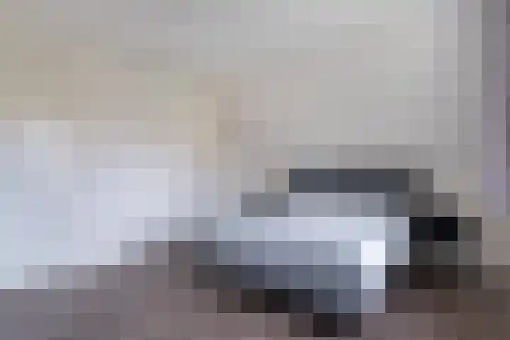 Tsjerkepaed 2 A Wier thumbnail 39
