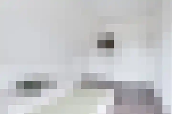 Tsjerkepaed 2 A Wier thumbnail 41