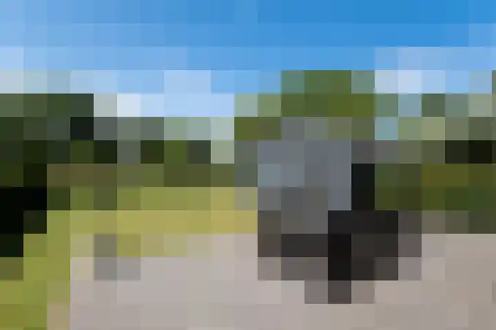 Tsjerkepaed 2 A Wier thumbnail 5