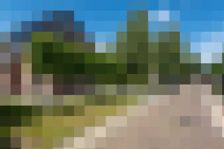 Tsjerkepaed 2 A Wier thumbnail 6