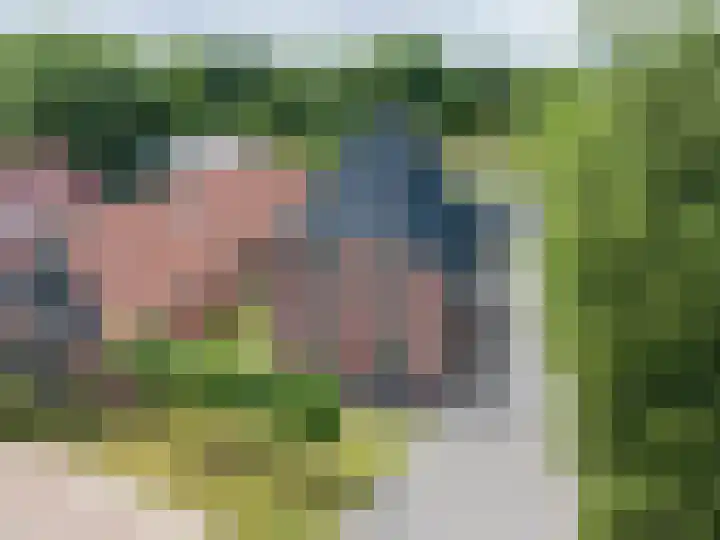 Tsjerkepaed 2 A Wier thumbnail 65