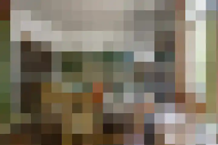 Tsjerkepaed 26 Wier thumbnail 14
