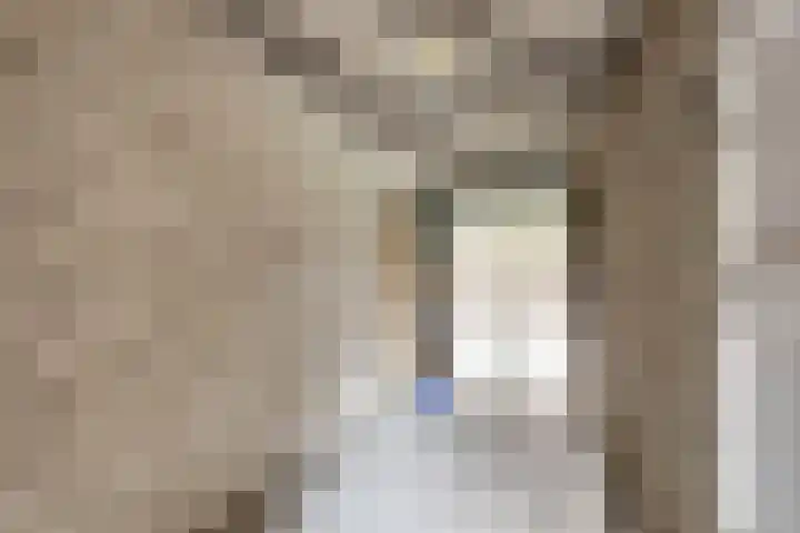 Tsjerkepaed 26 Wier thumbnail 20