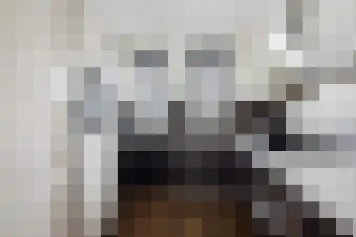 Tsjerkepaed 26 Wier thumbnail 24
