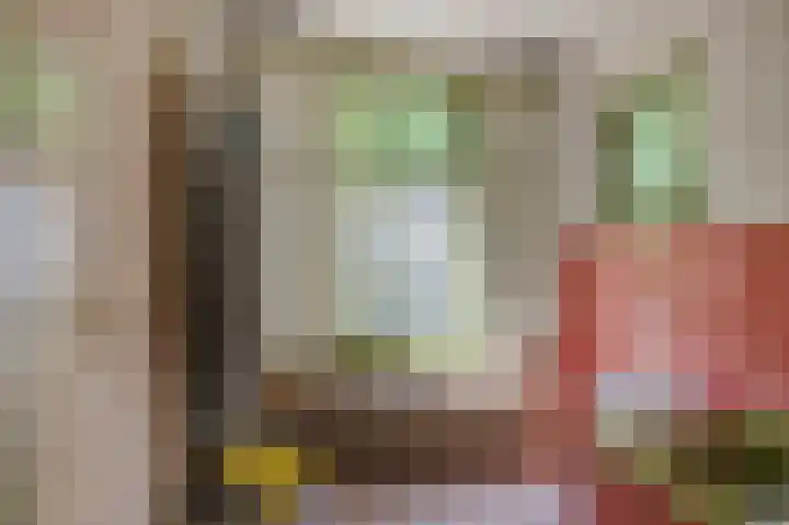 Tsjerkepaed 26 Wier thumbnail 35