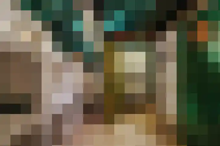 Tsjerkepaed 26 Wier thumbnail 48