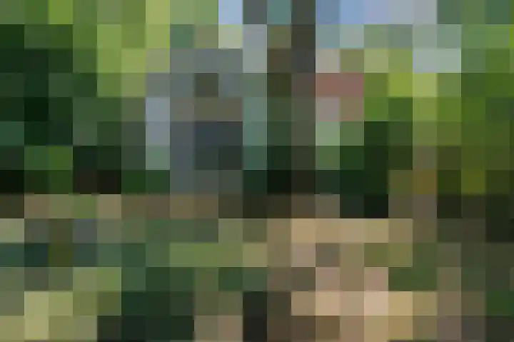 Tsjerkepaed 26 Wier thumbnail 5