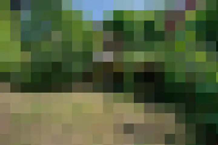 Tsjerkepaed 26 Wier thumbnail 52