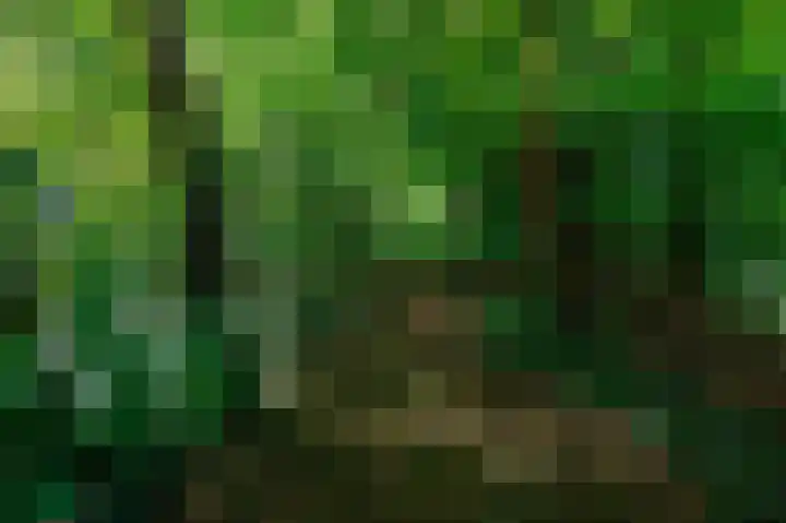 Tsjerkepaed 26 Wier thumbnail 53