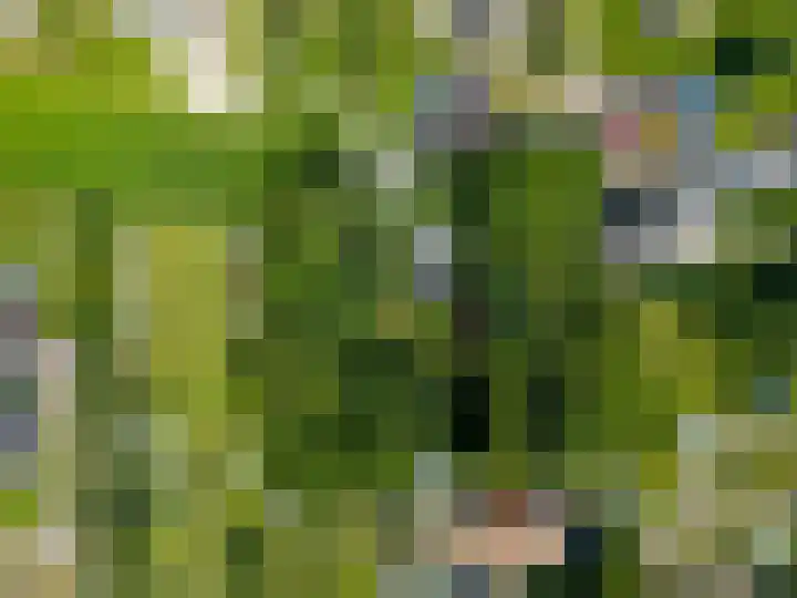 Tsjerkepaed 26 Wier thumbnail 56
