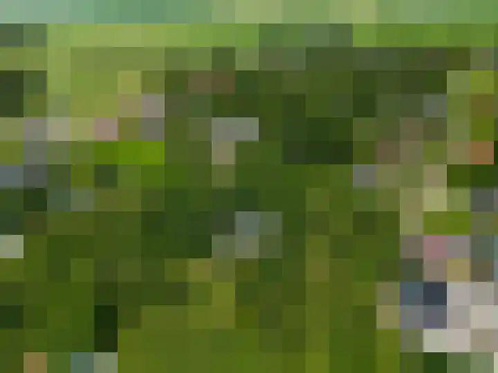 Tsjerkepaed 26 Wier thumbnail 57