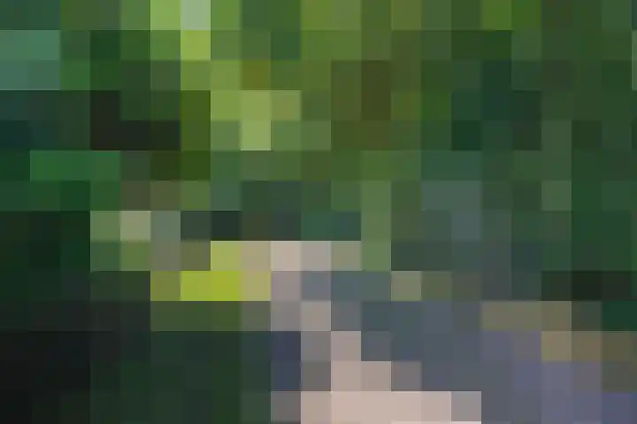 Tsjerkepaed 26 Wier thumbnail 59