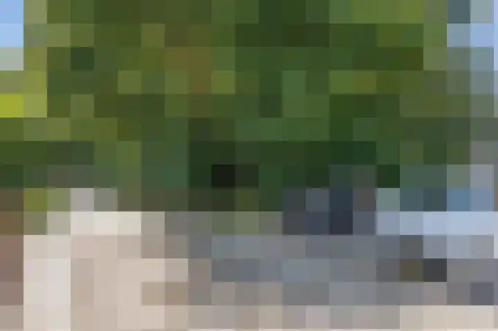 Tsjerkepaed 26 Wier thumbnail 60