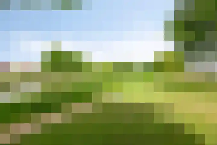 Tsjerkepaed 26 Wier thumbnail 66