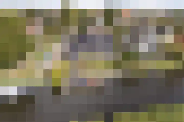 Tsjerkesleatswei 2 Heeg