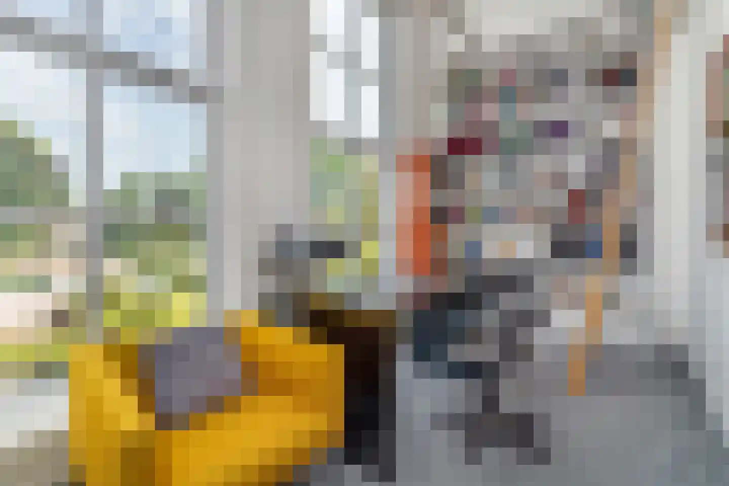 Tsjerkestrjitte 2 Ternaard thumbnail 24